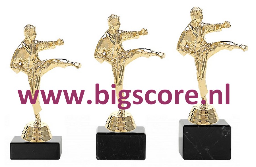 Karate Heer Goud 423-G